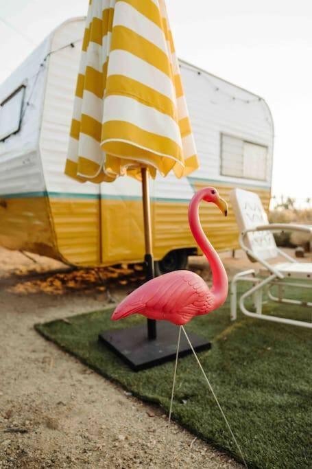 Cozy Rustic Home Minutes To Joshua Tree Nat'L Park Exterior photo
